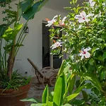 別荘 Isabel House イーゾラ・デッレ・フェンミネ